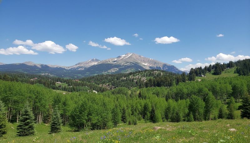 Architect Service in Allenspark, CO