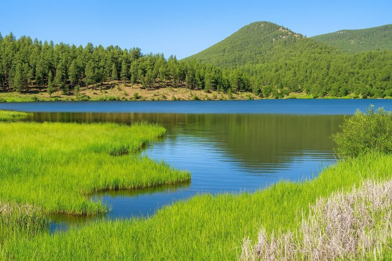 Building Design in Evergreen, CO